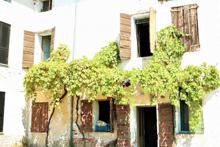 PORZIONE DI CASA STORICA IN CONTESTO DI PREGIO A ROSA'