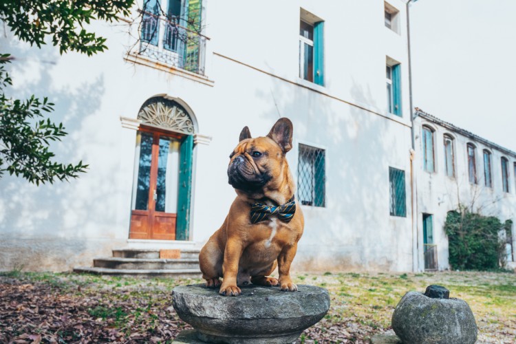 PRESTIGIOSA VILLA STORICA A COLCERESA