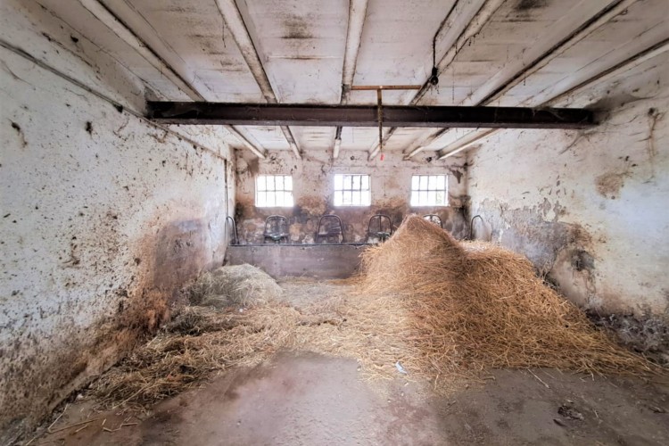 GRANDE CASA RUSTICA A DUE PASSI DA CITTADELLA