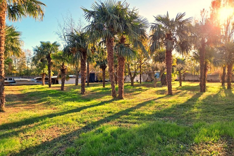 VILLA CON PARCO AL GREZZO AVANZATO A ROSA'