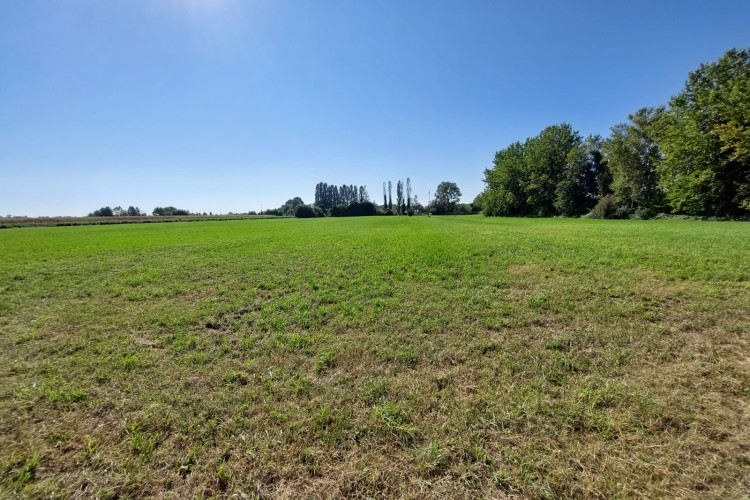 TERRENO AGRICOLO DI 41.600 MQ A FACCA DI CITTADELLA