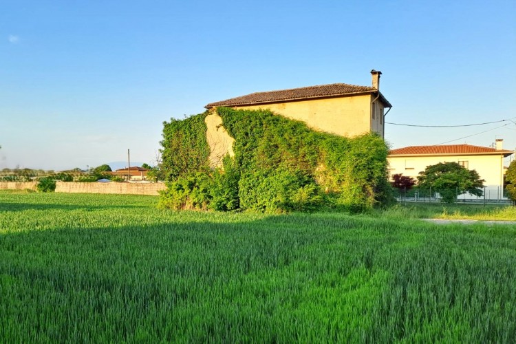 RUSTICO SINGOLO INSISTENTE SU LOTTO EDIFICABILE DI 1.200 MQ ED ANNESSO TERRENO AGRICOLO DI 6.600 MQ
