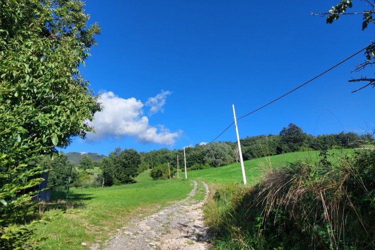 SUGGESTIVA CASA INDIPENDENTE A BERCETO